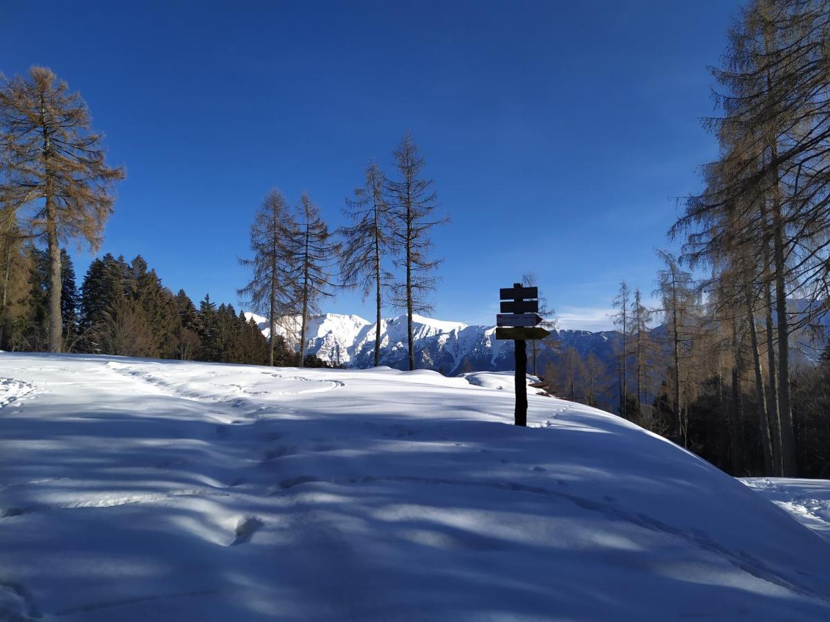 Il Riccio Del Castagno Apartment Novaledo ภายนอก รูปภาพ