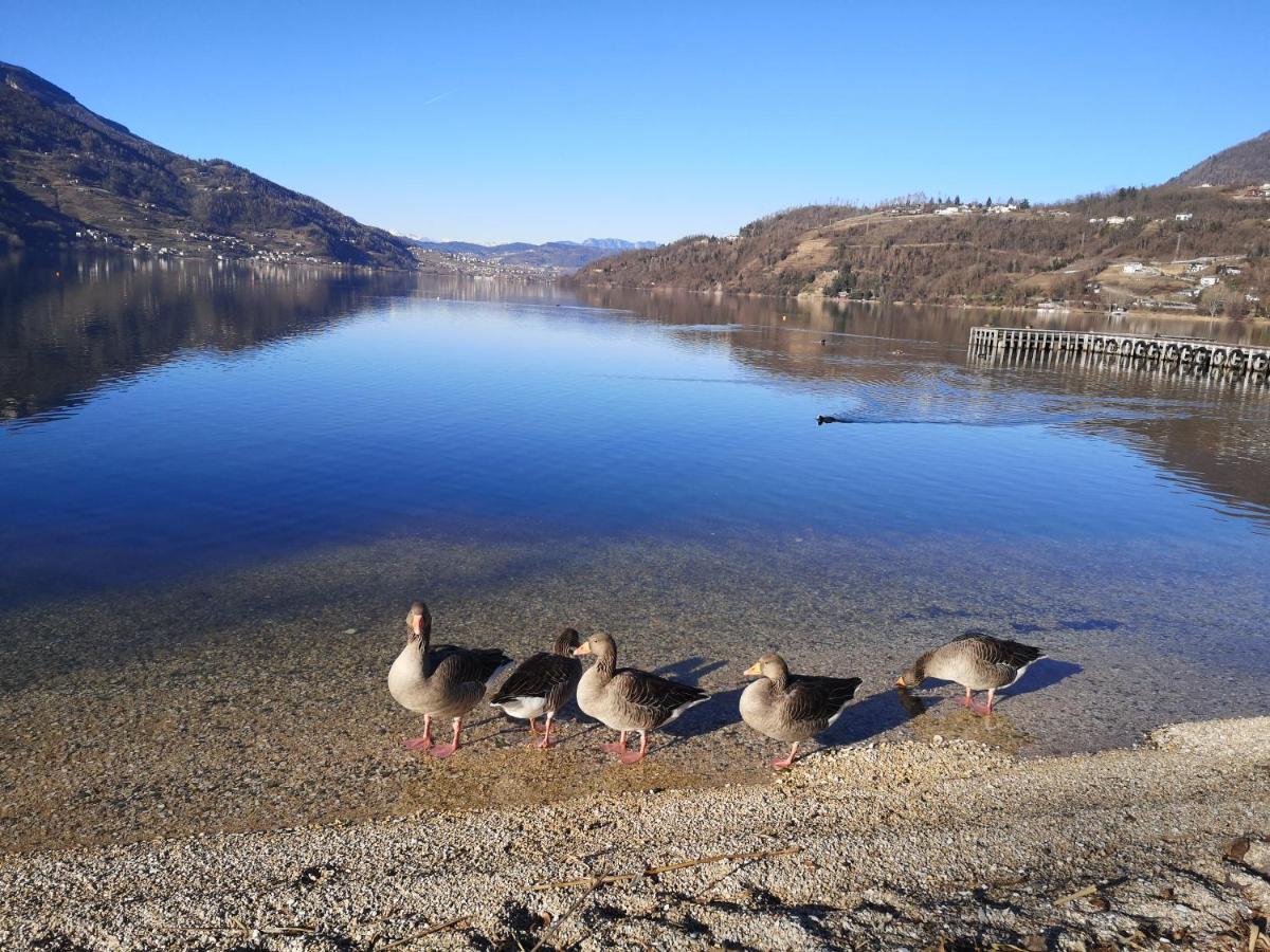 Il Riccio Del Castagno Apartment Novaledo ภายนอก รูปภาพ
