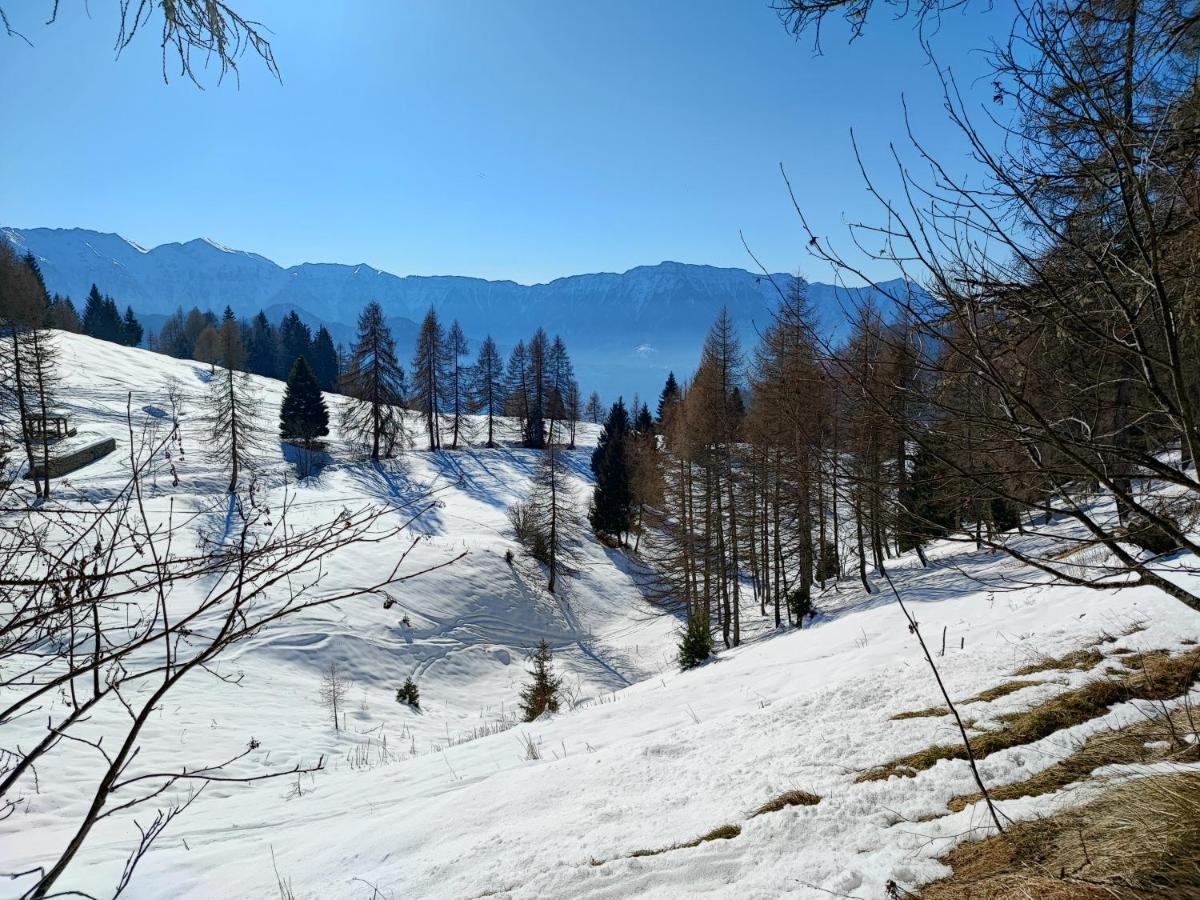 Il Riccio Del Castagno Apartment Novaledo ภายนอก รูปภาพ