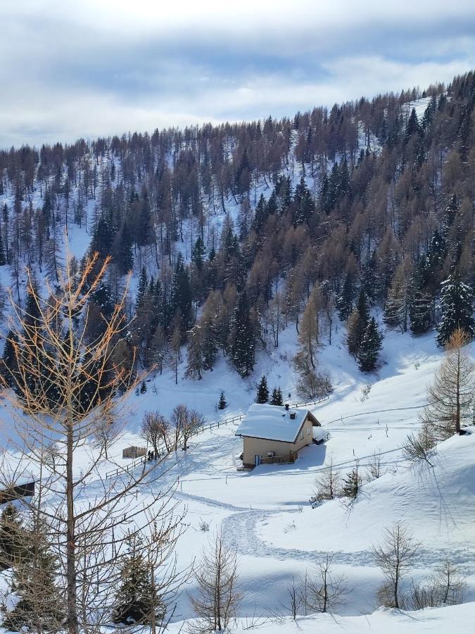 Il Riccio Del Castagno Apartment Novaledo ภายนอก รูปภาพ