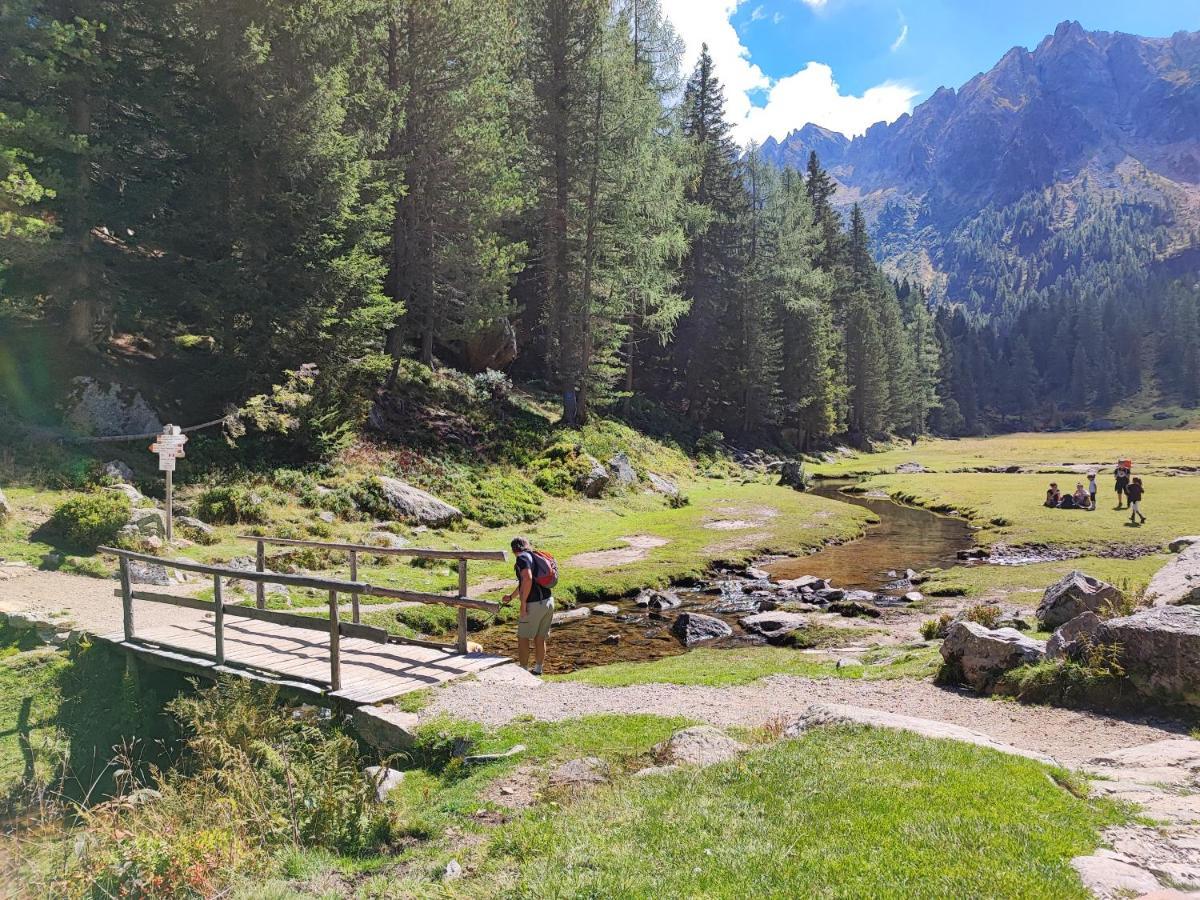 Il Riccio Del Castagno Apartment Novaledo ภายนอก รูปภาพ